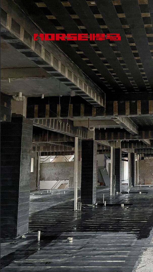 Horse Carbon Fiber Sheet Reinforce Building